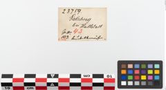 Etiketten zu Bronzeknopf (NHMW-PRAE-023759)